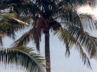 photos 2000-200900129